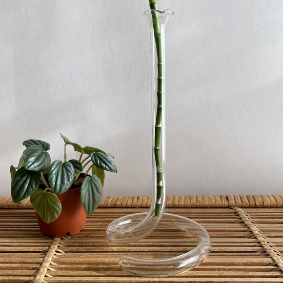 Propagation Vase Hand Blown Twisted Test Tube Glass Vase Whimsical Decor - Picture 3 of 3